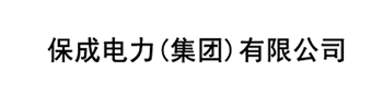 保成集团官网logo